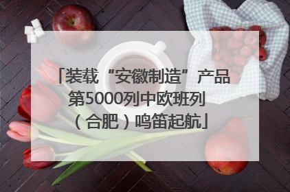 装载“安徽制造”产品 第5000列中欧班列（合肥）鸣笛起航