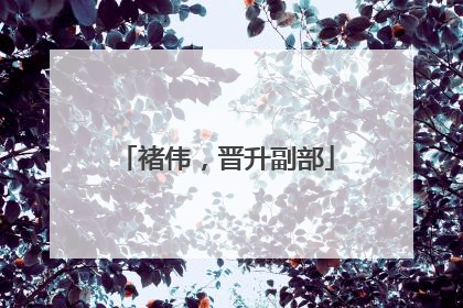 褚伟，晋升副部