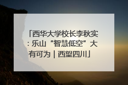 西华大学校长李秋实：乐山“智慧低空”大有可为｜西望四川