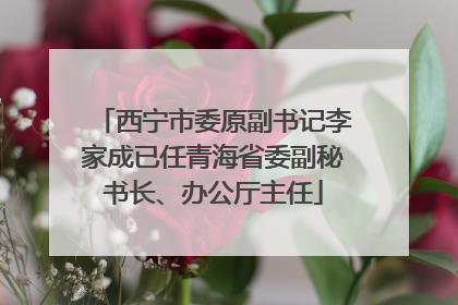 西宁市委原副书记李家成已任青海省委副秘书长、办公厅主任
