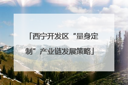 西宁开发区“量身定制”产业链发展策略
