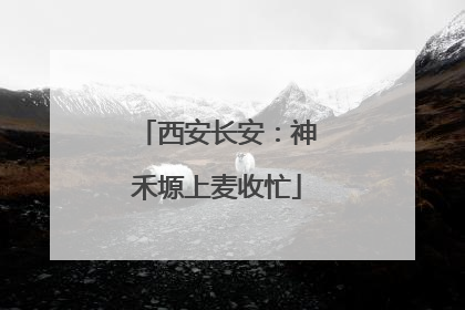 西安长安：神禾塬上麦收忙