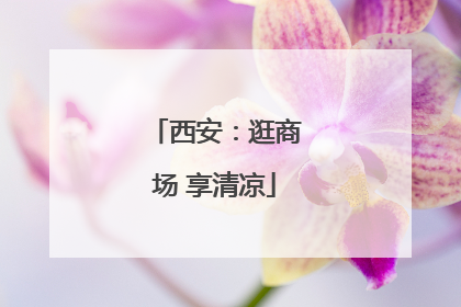 西安：逛商场 享清凉