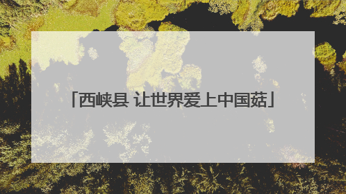 西峡县 让世界爱上中国菇