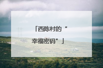 西陈村的“幸福密码”