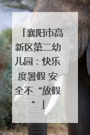 襄阳市高新区第二幼儿园：快乐度暑假 安全不“放假”