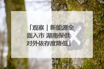 观察｜新能源全面入市 湖南保供对外依存度降低