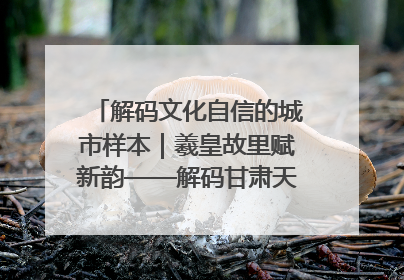 解码文化自信的城市样本｜羲皇故里赋新韵——解码甘肃天水的文化自信样本