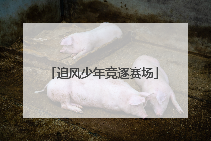 追风少年竞逐赛场