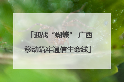 迎战“蝴蝶” 广西移动筑牢通信生命线