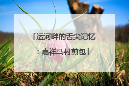 运河畔的舌尖记忆：嘉祥马村煎包