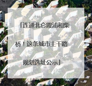连通北仑霞浦和柴桥！这条城市主干路规划选址公示