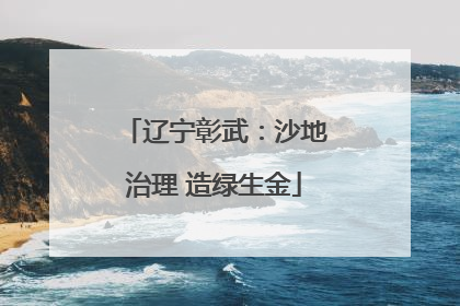 辽宁彰武：沙地治理 造绿生金