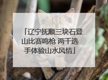 辽宁抚顺三块石登山比赛鸣枪 两千选手体验山水风情