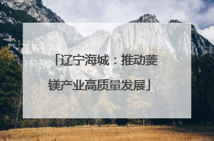 辽宁海城：推动菱镁产业高质量发展