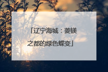 辽宁海城：菱镁之都的绿色蝶变