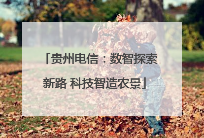 贵州电信：数智探索新路 科技智造农景