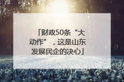 财政50条“大动作”，这是山东发展民企的决心