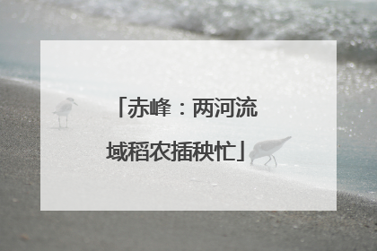 赤峰：两河流域稻农插秧忙
