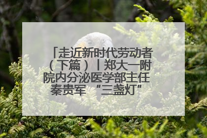 走近新时代劳动者（下篇）丨郑大一附院内分泌医学部主任秦贵军 “三盏灯”下的医者人生