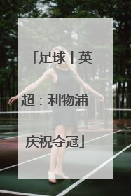 足球丨英超：利物浦庆祝夺冠