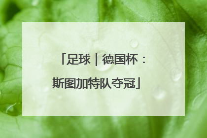 足球｜德国杯：斯图加特队夺冠