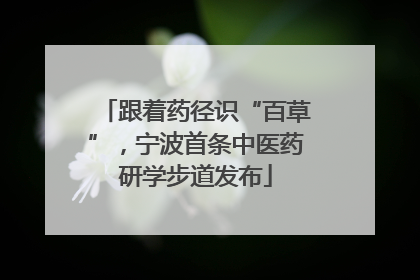 跟着药径识“百草”，宁波首条中医药研学步道发布