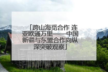 跨山海觅合作 连亚欧通万里——中国新疆与东盟合作向纵深突破观察