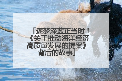 逐梦深蓝正当时！《关于推动海洋经济高质量发展的提案》背后的故事