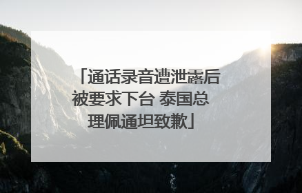 通话录音遭泄露后被要求下台 泰国总理佩通坦致歉