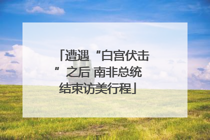 遭遇“白宫伏击”之后 南非总统结束访美行程