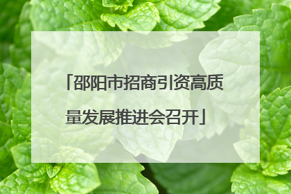 邵阳市招商引资高质量发展推进会召开