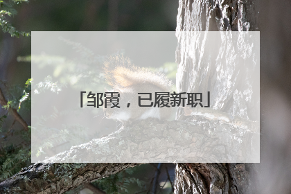 邹霞，已履新职