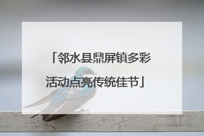 邻水县鼎屏镇多彩活动点亮传统佳节