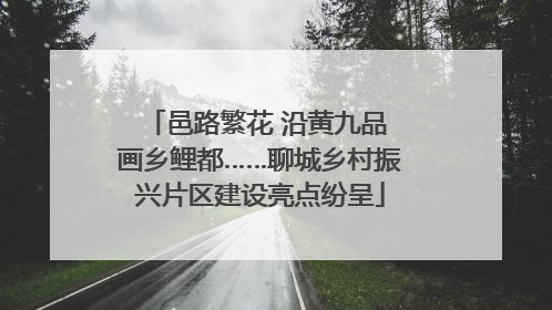 邑路繁花 沿黄九品 画乡鲤都……聊城乡村振兴片区建设亮点纷呈