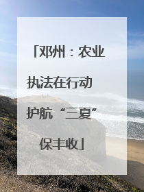 邓州：农业执法在行动 护航“三夏”保丰收