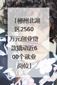 郴州北湖区2560万元创业贷款撬动近600个就业岗位