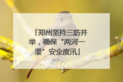 郑州坚持三防并举，确保“两河一渠”安全度汛