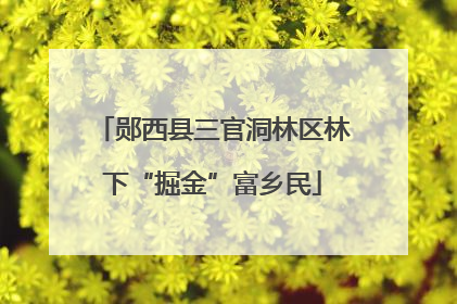 郧西县三官洞林区林下“掘金”富乡民