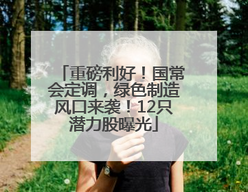重磅利好！国常会定调，绿色制造风口来袭！12只潜力股曝光