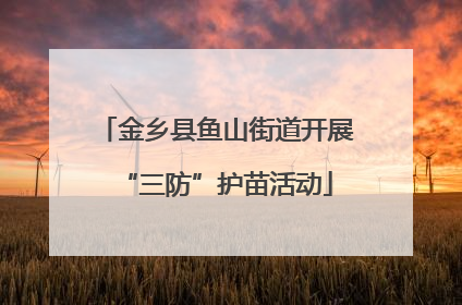 金乡县鱼山街道开展“三防”护苗活动