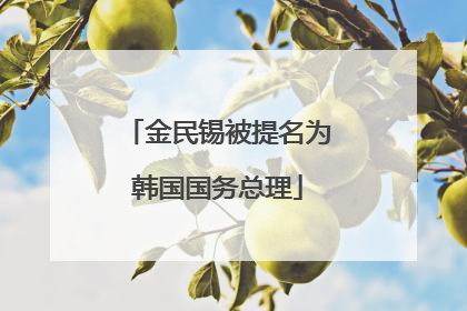 金民锡被提名为韩国国务总理