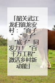韶关武江龙归镇龙安村：“面子”“里子”“底子”同发力！“百千万工程”激活乡村新动能
