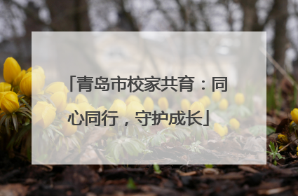 青岛市校家共育：同心同行，守护成长