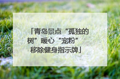 青岛景点“孤独的树”暖心“宠粉” 移除健身指示牌