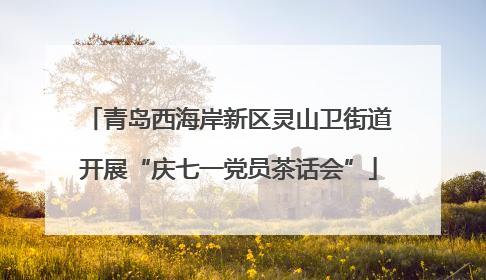 青岛西海岸新区灵山卫街道开展“庆七一党员茶话会”