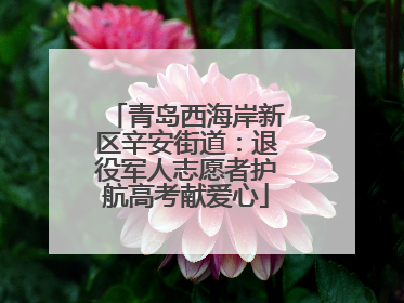 青岛西海岸新区辛安街道：退役军人志愿者护航高考献爱心