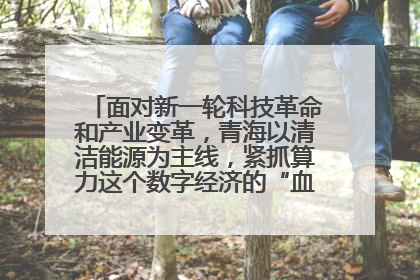 面对新一轮科技革命和产业变革，青海以清洁能源为主线，紧抓算力这个数字经济的“血液”、科技主权的“筹码”、产业升级的“杠杆”、绿色转型的“支点”，勇于撬动国家“双碳”战略、“东数西算”工程重大发展新机遇