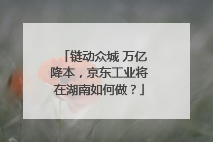 链动众城 万亿降本，京东工业将在湖南如何做？