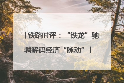 铁路时评：“铁龙”驰骋解码经济“脉动”